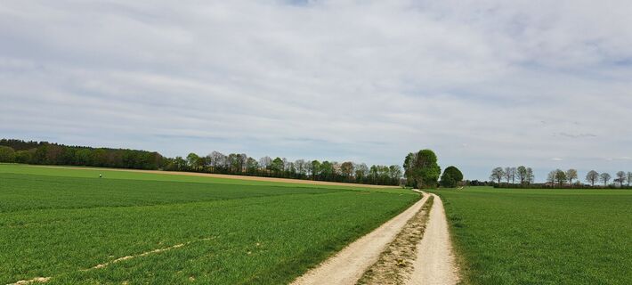Fotografia z I Heckhausen na trase