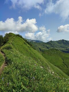 Photo de Ineswanki le long du parcours