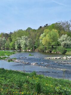 Foto de Mimi a lo largo del recorrido