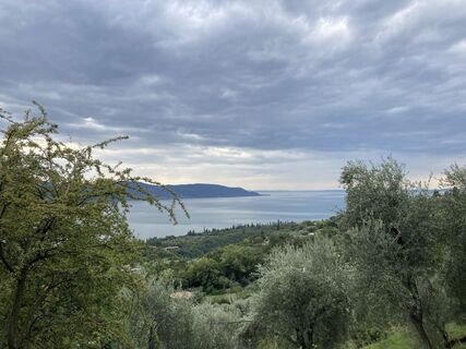 Fotografija s spletne strani Darwin Proft na poti