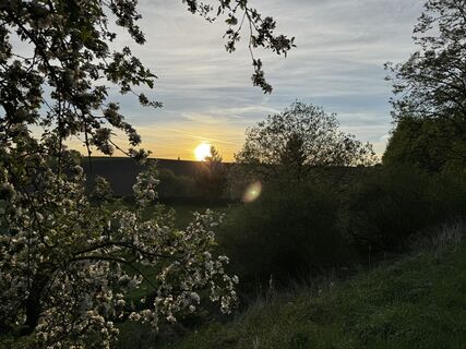 Fotografie z Schaali na trase