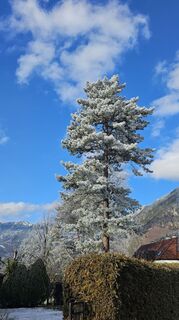 Фото с сайта Alexandra Stani во время экскурсии