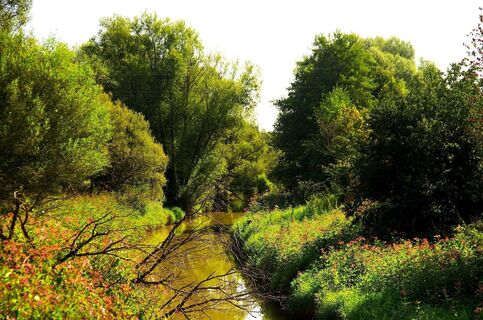 Flusslandschaft entlang des Radwegs