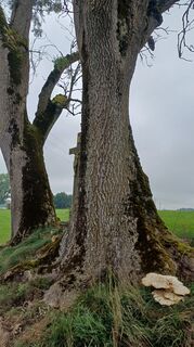 Photo de Andreas Höpner le long du parcours