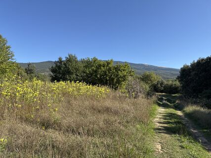 Fotografija s spletne strani Grizzli na poti