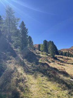 Foto von Leia Tebartz entlang der Tour