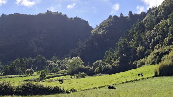 Photo de Sabine Fischer 6 le long du parcours