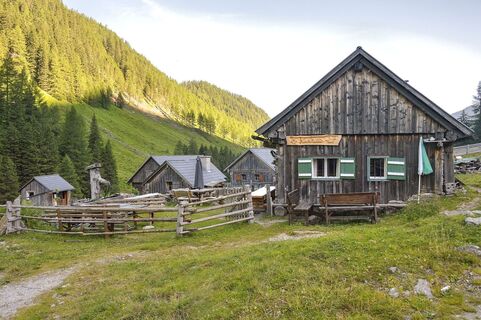 zum almdorf in der tuchmoaralm_img_26957441
