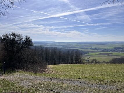 Fotografija s spletne strani Nico Rath na poti