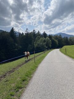 Fotografia z Voltzi na trase
