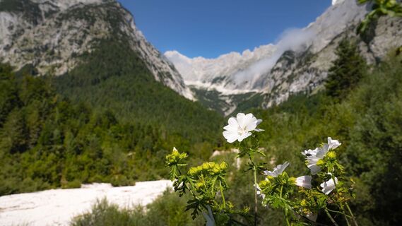 Bergleintal im Sommer