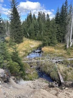 Foto von Doreenholz entlang der Tour