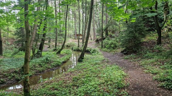 Photo de Juergenscholz Privat le long du parcours