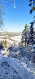Fotografija s spletne strani Frenk na poti