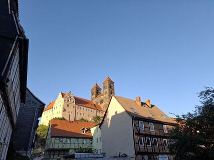 Foto von nordbergschnecke entlang der Tour