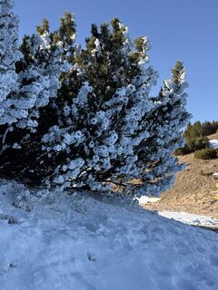 Fotografija s spletne strani Mea Mira na poti