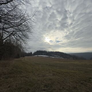 Fotografie z Steffen Kiesel na trase