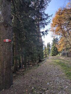 Foto de Heidirenate a lo largo del recorrido