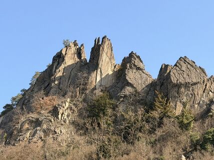 Fotografija s spletne strani Gerhard Piglmann na poti