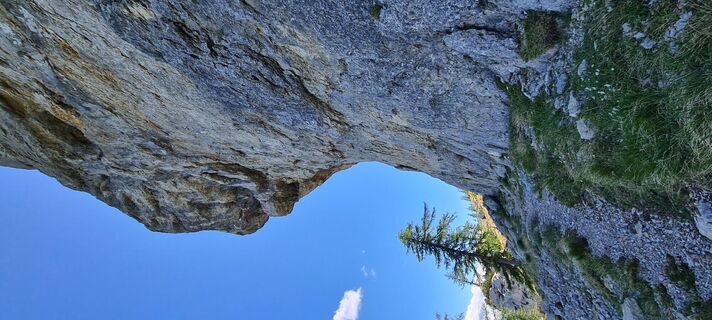 Fotografia z Martina Oitzinger na trase