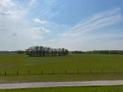 Blick vom Rheindeich in die Rheinaue