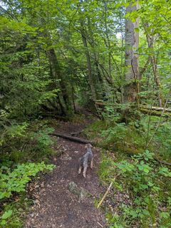 Photo de Eva Oppermann le long du parcours