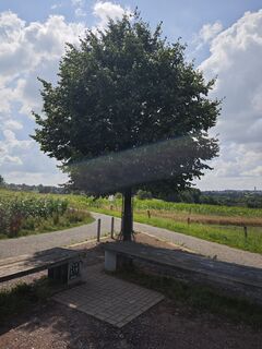 Photo de Björn Heun le long du parcours
