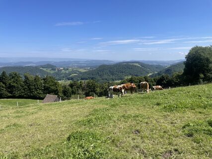 Foto von jojo55 entlang der Tour