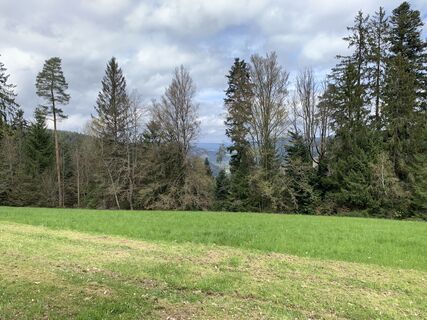 Foto von Kristina  1 entlang der Tour