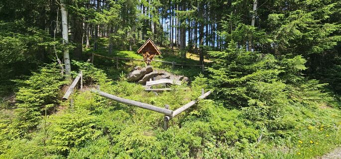 Photo de Michael Ganswind le long du parcours