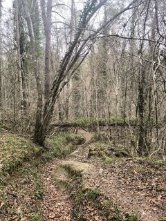 Fotografie z Car Los na trase