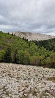 Photo de Fabrizi Mellano le long du parcours