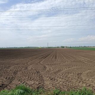 Landschaft zwischen Székesfehérvár und Tác