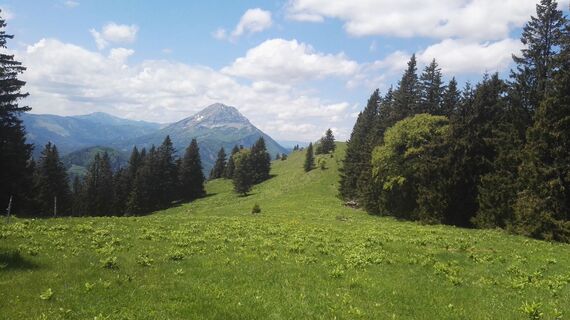 Auf dem Ostgipfel