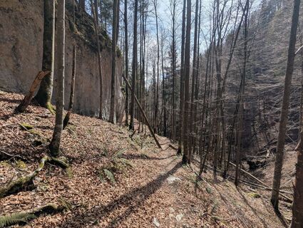 Foto von Hiking Hermit entlang der Tour
