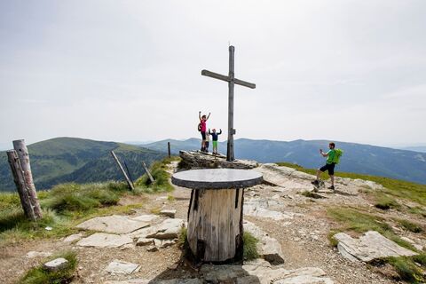 Gipfelsieg auf der Frauenalpe