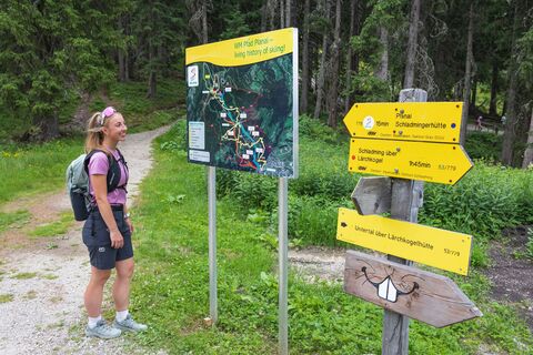Wanderbeschilderung am WM-Pfad Planai