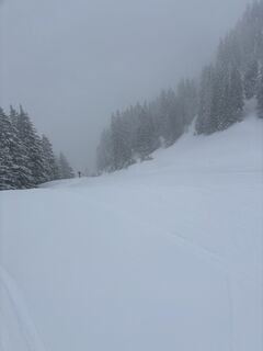 Foto de zelinimini a lo largo del recorrido