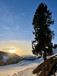 Foto von Aurelian Böhler entlang der Tour