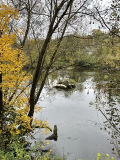 Fotografia z holgerwag na trase