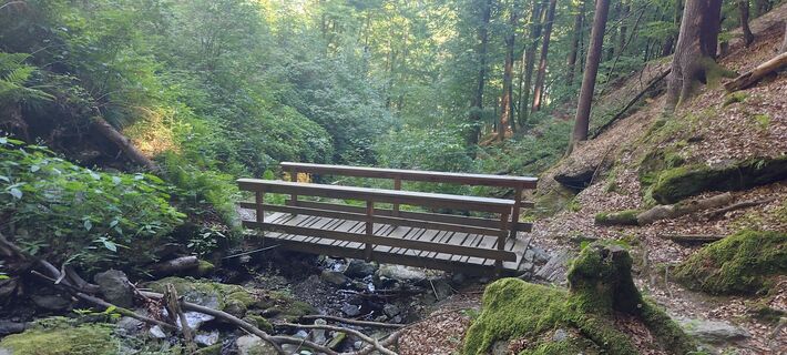 Photo de Tim Plecher le long du parcours