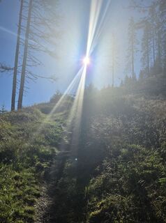 Foto von Wolfgang Reicher 2 entlang der Tour
