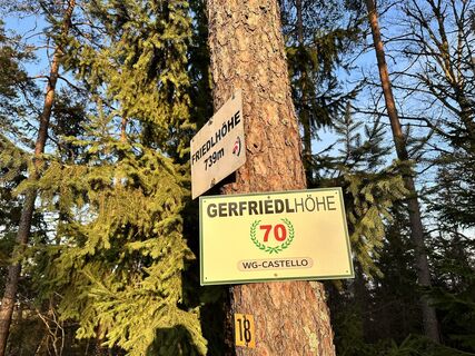 Foto von gdog entlang der Tour