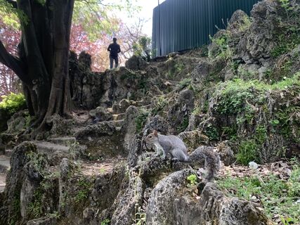 Foto de Toni Lerda a lo largo del recorrido