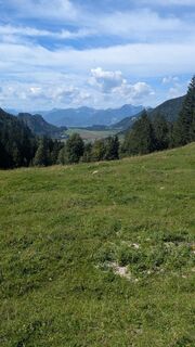 Photo de Goodyear le long du parcours