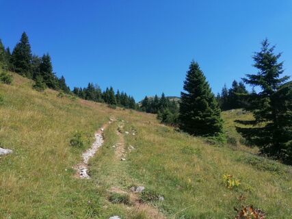 Fotografia z Turbinio na trase