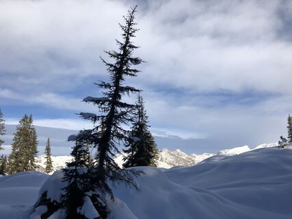 Fotografia z Gridlokk na trase