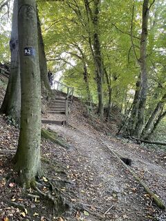 Fotografia z Thorsten Schulze na trase