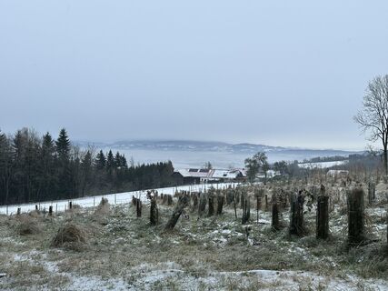 Fotografia z Babs Holz na trase