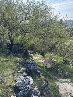 Fotografia z Robert Ressler na trase